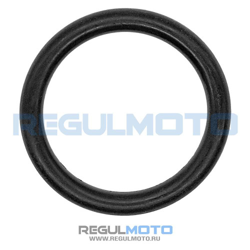 Прокладка датчика топлива бензобака 250GY 5. 200GY 5, Sport01,04,06 