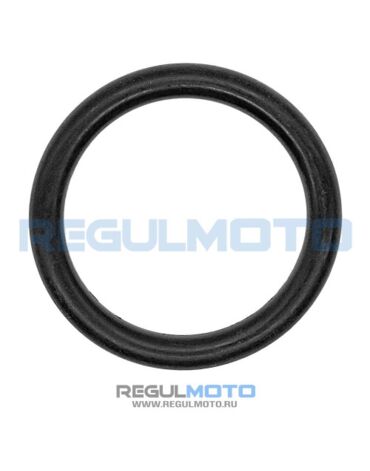 Прокладка датчика топлива бензобака 250GY 5. 200GY 5, Sport01,04,06 