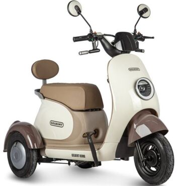 Электротрицикл Rutrike Gelbert Ogma 48V 60V 650Вт - миниатюра 1