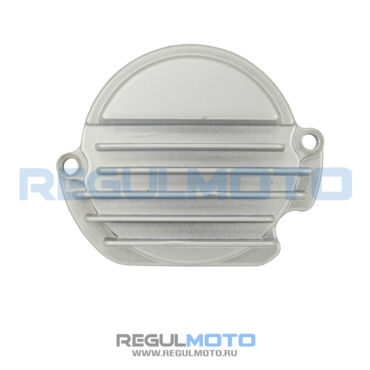 Крышка звезды ГРМ ZS172FMM, PR250, Sport 003, ZR - миниатюра 1
