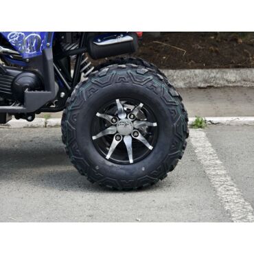 Квадроцикл Rmoto Lion 200 R - миниатюра 13