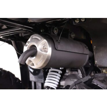 Квадроцикл Motoland  VOX250 WILD TRACK X PLUS - миниатюра 22