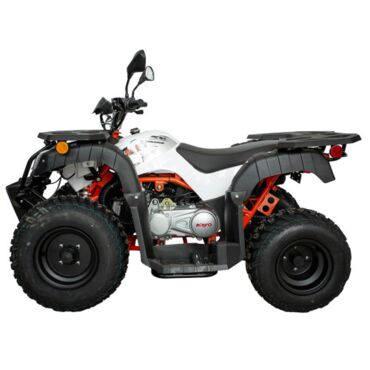 Квадрицикл KAYO AU150 CVT ПТС - миниатюра 3