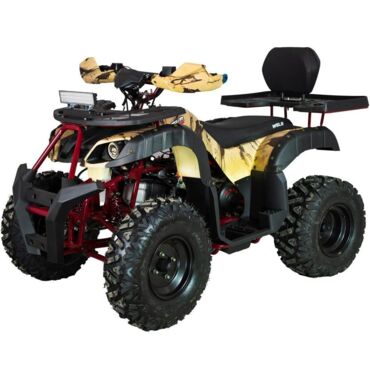Квадроцикл WELS THUNDER 200cc HS (АХ200) - миниатюра 4