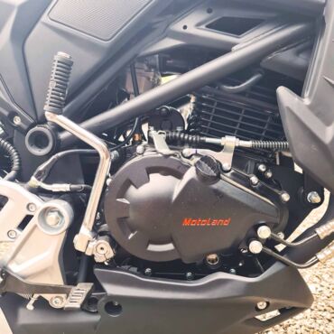 Мотоцикл дорожный Motoland CB 250 (172FMM 5 PR250) - миниатюра 15