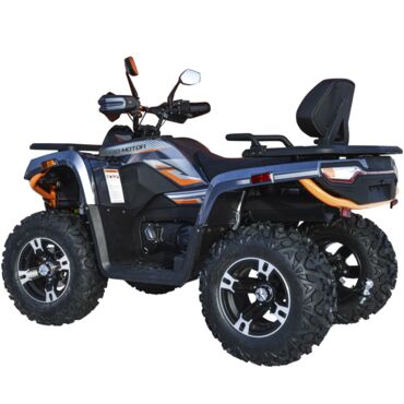 Квадроцикл Motoland 300 MAX X - миниатюра 6