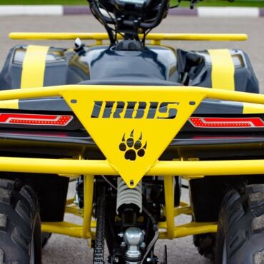 Квадроцикл IRBIS ATV 125 - миниатюра 10