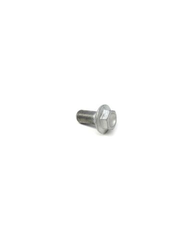 Болт специальный  M12x25x1.25 12.9