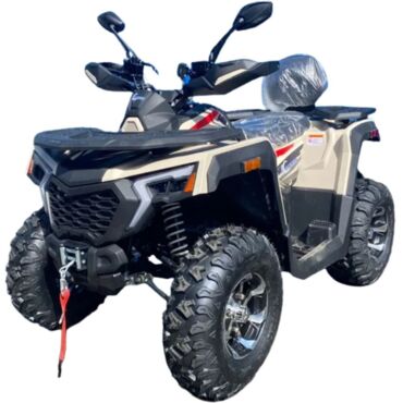 Квадроцикл Racer Ranger 250 - миниатюра 10