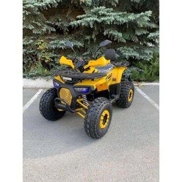 Квадроцикл Rmoto Lion 125 AR - миниатюра 6