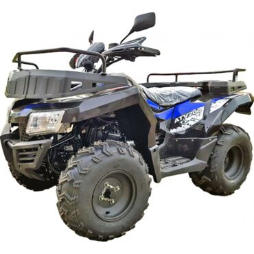 Квадроцикл Rato Cabo 200 S - миниатюра 5