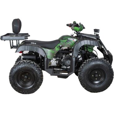 Квадроцикл WELS THUNDER 200cc HS (АХ200) - миниатюра 6