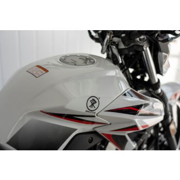 Мотоцикл дорожный SPRMOTORS Forte FH250 Y9 - миниатюра 20