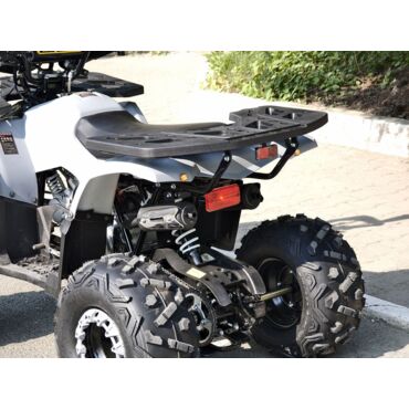 Квадроцикл Rmoto Lion 125 AА - миниатюра 10
