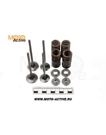 Клапаны ГРМ 170MM 2 CB250 water 4V 177MM (компл 2 шт)