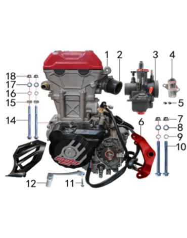Двигатель в сборе 300cc TYX300-SR.129.3010