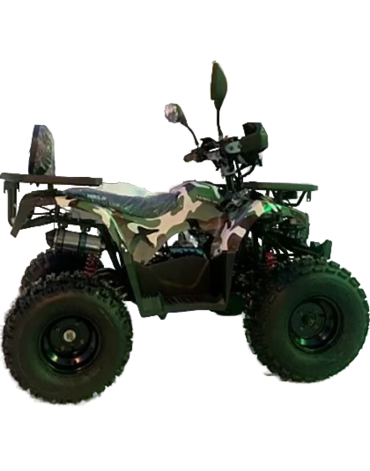 Квадроцикл WELS THUNDER AX125 PRO