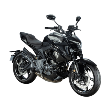 Мотоцикл ZONTES ZT350 R - миниатюра 3