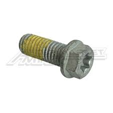 KTM Болт с фиксатором резьбы M8X20 TX40 ( 0025080206S )