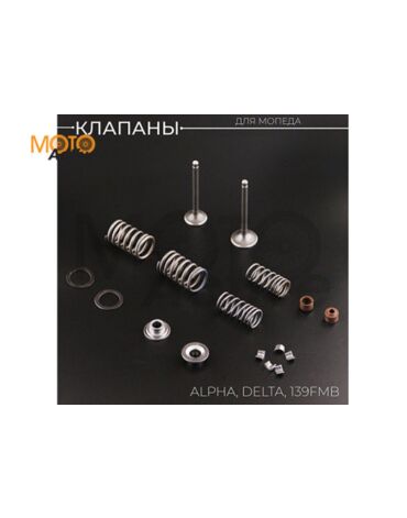 Клапаны (в сборе) 139FMB Alpha, Delta (L 66mm) "BEEZMOTO"