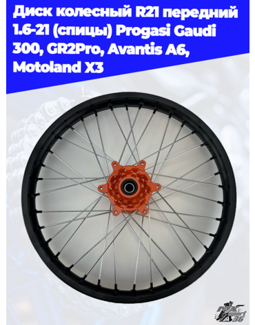 диск колесный R21 передний 1.6 21 (спицы) Progasi Gaudi 300, GR2Pro, Avantis A6, Motoland X3