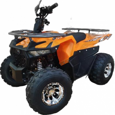 Квадроцикл Regulmoto Hammer 125 - миниатюра 4