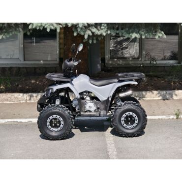 Квадроцикл Rmoto Lion 125 AА - миниатюра 11