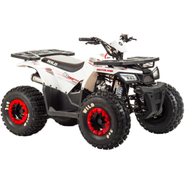 Квадроцикл Motoland WILD 125 - миниатюра 3