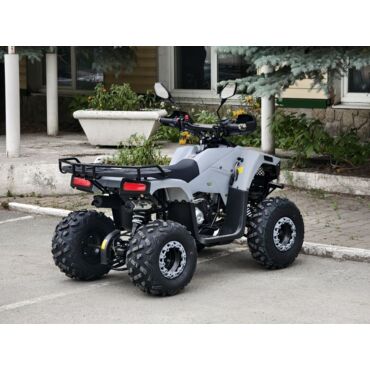 Квадроцикл Rmoto Lion 125 RR - миниатюра 22