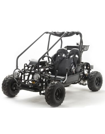 Багги MOTOLAND GOKART 125