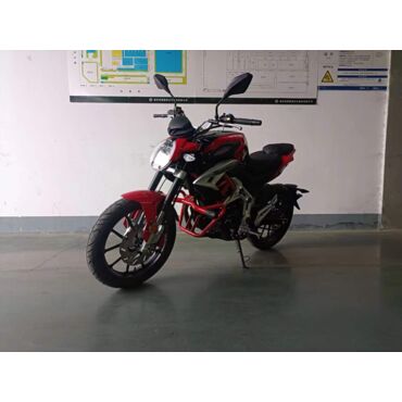 Мотоцикл ROLIZ SPIDER YS166FMM 250cc с ПТС - миниатюра 11