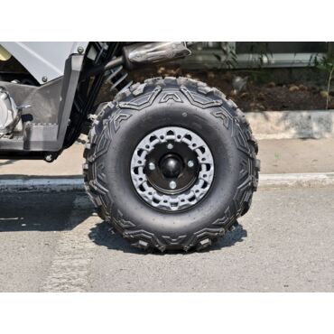 Квадроцикл Rmoto Lion 125 AА - миниатюра 13