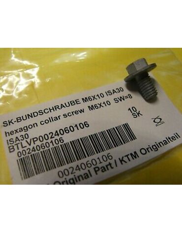 HH COLLAR SCREW M6X10     TX30