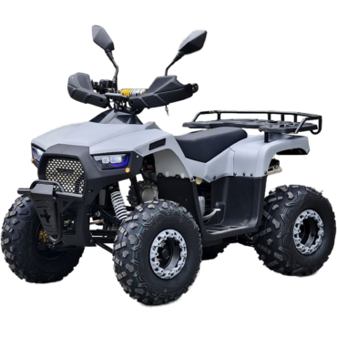 Квадроцикл Rmoto Lion 125 RR - миниатюра 23