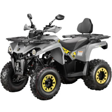 Квадроцикл GLADIATOR F200 LUX ПСМ - миниатюра 2