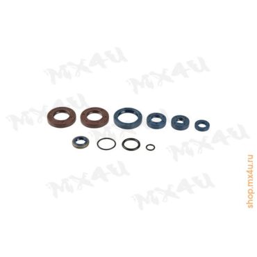 Комплект сальников двигателя Beta Supermotard 50 93 99 - миниатюра 1