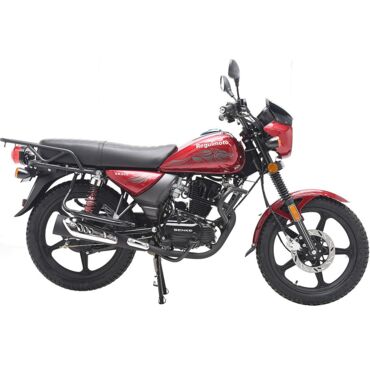 Мотоцикл Regulmoto SK 200 - миниатюра 6