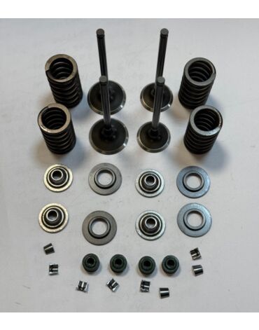 Ремкомплект клапанов  CB250 R 4 Valve(4х клапанная головка)