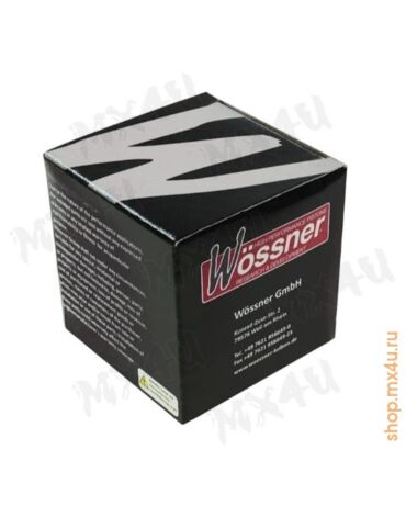 Комплект поршней 850 E TEC / 850 MXZ E TEC / 850 SUMMIT / SUMMIT X / Expert / SUMMIT TURBO 17 21 2шт