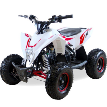 Детский квадроцикл бензиновый MOTAX GEKKON 90 cc 1+1 (Реверс) - миниатюра 2