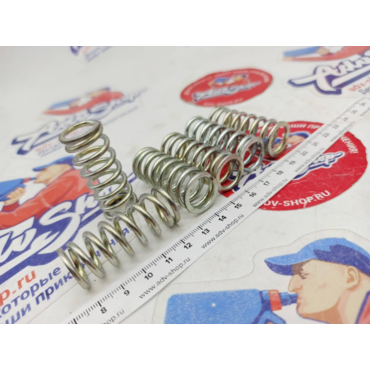 TRW CLUTCH SPRING MEF 128 6 пружины сцепления усиленные комплект XL650 ( 10043963 ) - миниатюра 1
