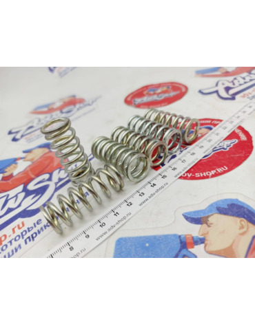 TRW CLUTCH SPRING MEF 128 6 пружины сцепления усиленные комплект XL650 ( 10043963 )
