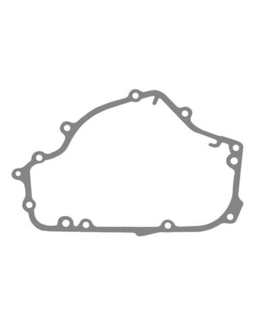 Прокладка крышки генератора Kawasaki Ninja300 250, GPZ KLE ZZR250 11012 1362, 11060 1920