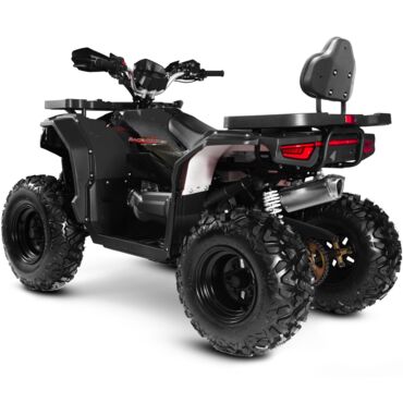 Квадроцикл Progasi Race Jumper Max Power 200 - миниатюра 6