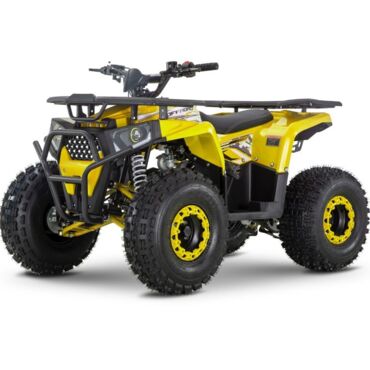 Квадроцикл WELS Trail 125 - миниатюра 2
