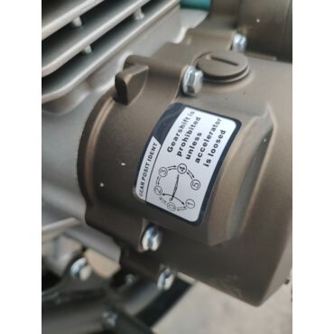 Мотоцикл Regulmoto Sport 003 PR 300 сс 5 передач - миниатюра 12