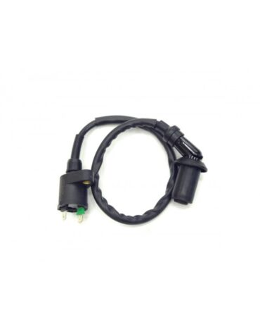 Катушка зажигания со свечным колпачком 4T двиг.139QMB, 152QMI, 157QMJ CN