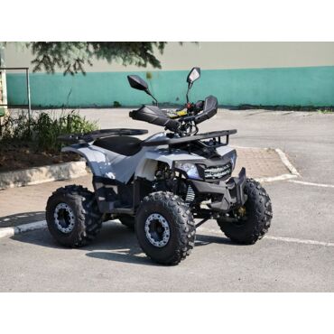 Квадроцикл Rmoto Lion 125 AА - миниатюра 15