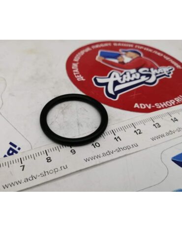 HONDA O Ring  (24.4X3.1) ( 91309425003 )