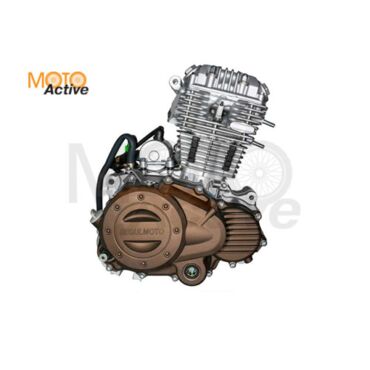 Двигатель CBB200 (ZS165FMM) - миниатюра 3